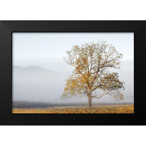 Cades Cove Black Modern Wood Framed Art Print by Collins, Ann