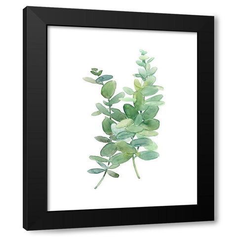 Eucalyptus I Black Modern Wood Framed Art Print by Robinson, Carol