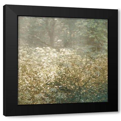 Foret De Tenom Detail Black Modern Wood Framed Art Print with Double Matting by Van de Goor, Lars