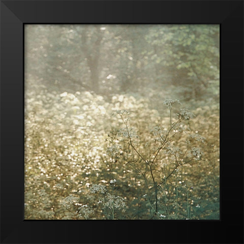 Foret De Tenom Detail Black Modern Wood Framed Art Print by Van de Goor, Lars
