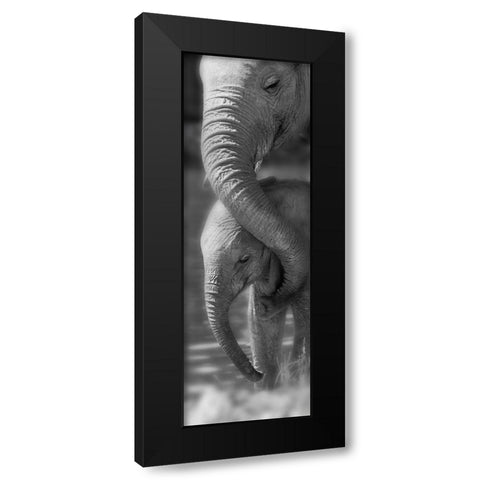 Morning Moment Black Modern Wood Framed Art Print with Double Matting by Westmorland, Michele