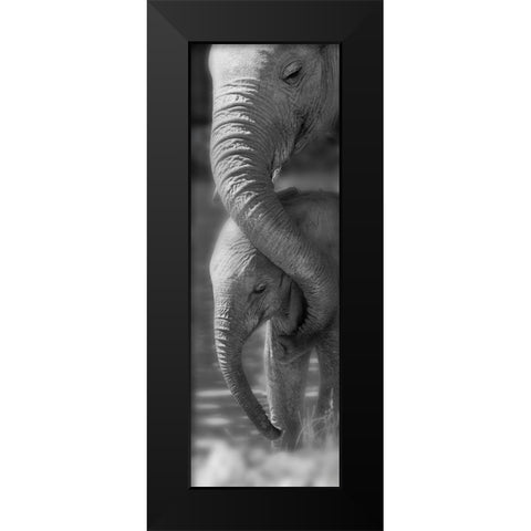 Morning Moment Black Modern Wood Framed Art Print by Westmorland, Michele