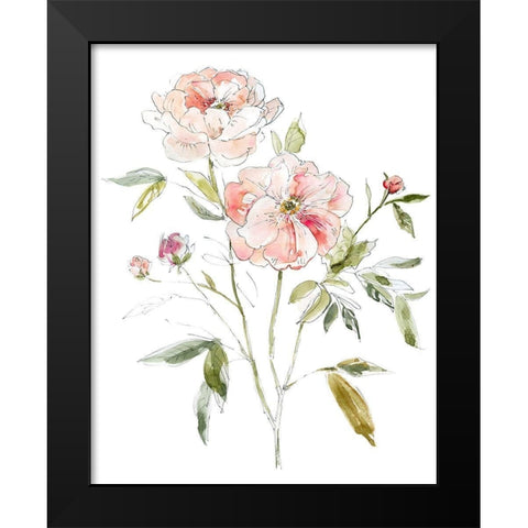 Sketchbook Cottage Rose I Black Modern Wood Framed Art Print by Robinson, Carol