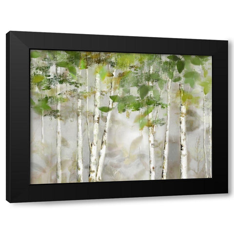 Evergreen Forest Black Modern Wood Framed Art Print with Double Matting by Nan