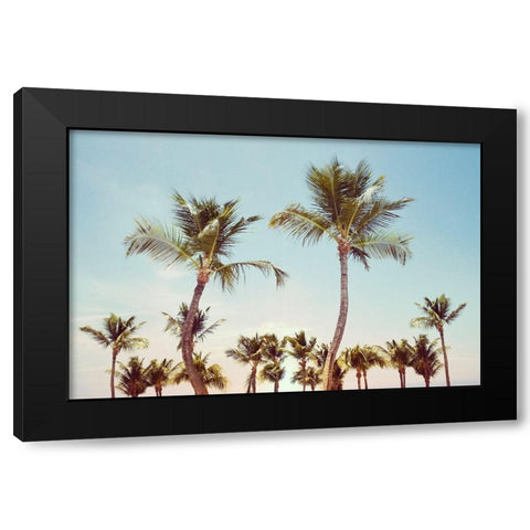 Aruba Palm Black Modern Wood Framed Art Print with Double Matting by Carpentieri, Natalie