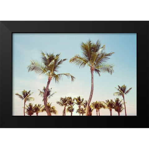 Aruba Palm Black Modern Wood Framed Art Print by Carpentieri, Natalie