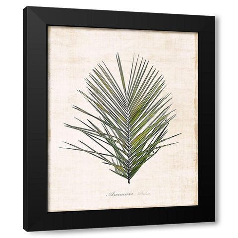 Palm Botanical I Black Modern Wood Framed Art Print by Carpentieri, Natalie
