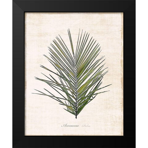 Palm Botanical I Black Modern Wood Framed Art Print by Carpentieri, Natalie