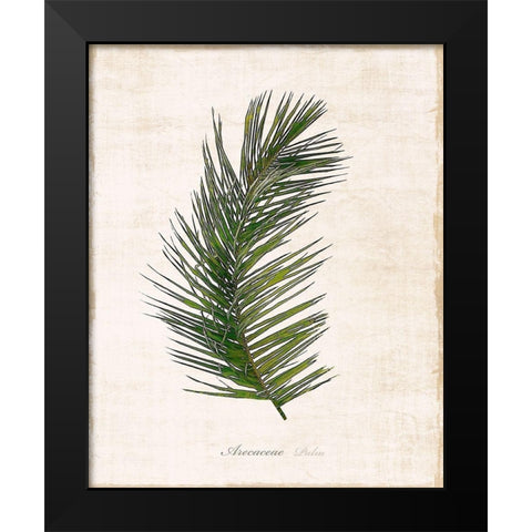 Palm Botanical II Black Modern Wood Framed Art Print by Carpentieri, Natalie