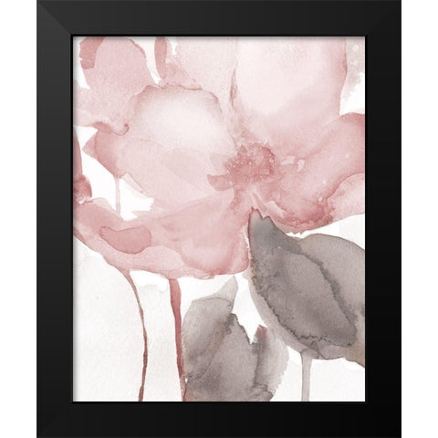 Blush Bloom II Black Modern Wood Framed Art Print by Robinson, Carol