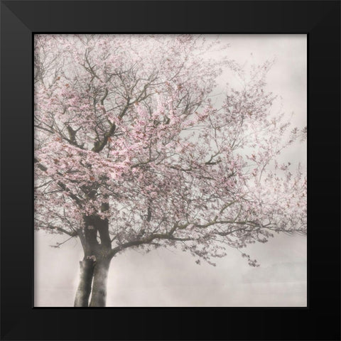 Blush in the Wind I Black Modern Wood Framed Art Print by Weisz, Irene