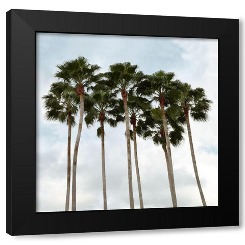 Surfs Up Black Modern Wood Framed Art Print by Carpentieri, Natalie