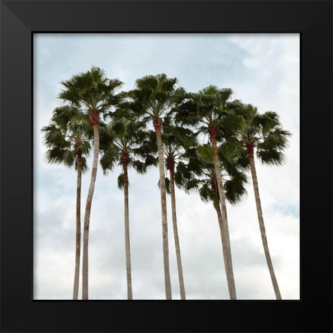 Surfs Up Black Modern Wood Framed Art Print by Carpentieri, Natalie