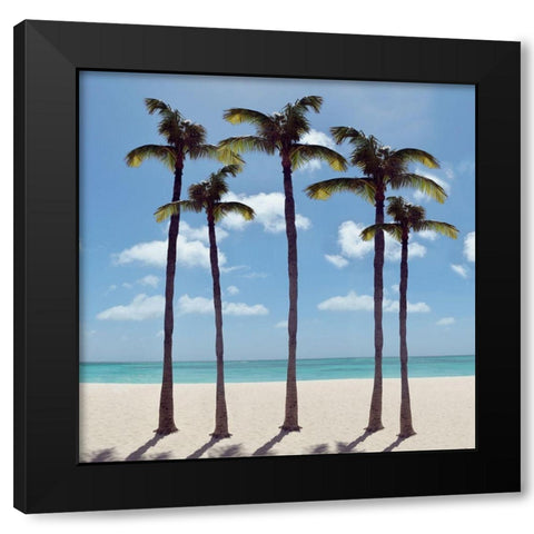 Island Palms Black Modern Wood Framed Art Print by Carpentieri, Natalie