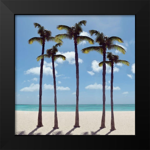 Island Palms Black Modern Wood Framed Art Print by Carpentieri, Natalie