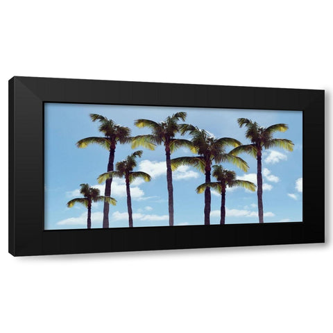 Paradise Palms Black Modern Wood Framed Art Print by Carpentieri, Natalie