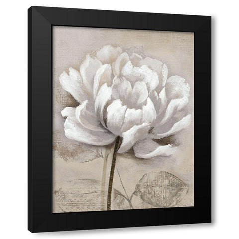 Soft White I Black Modern Wood Framed Art Print with Double Matting by Nan