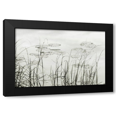 Silver Lake Lilies Black Modern Wood Framed Art Print by Monkman, Jerry and Marcy