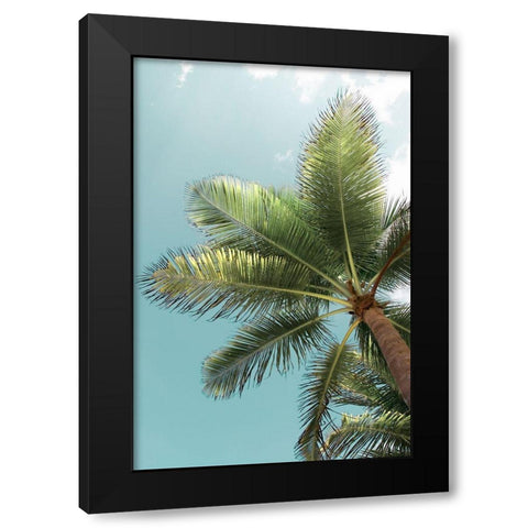 Palm Verde Black Modern Wood Framed Art Print with Double Matting by Monkman, Jerry and Marcy