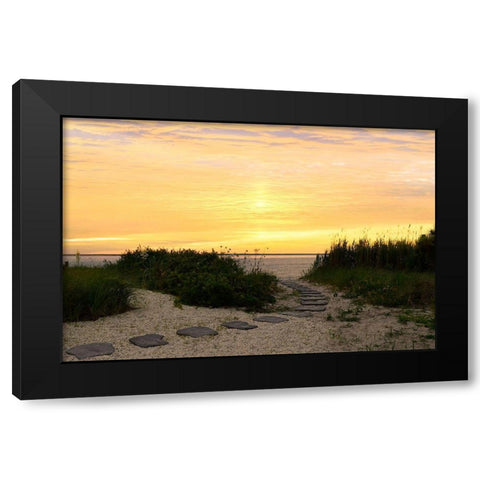 Sunset Path Black Modern Wood Framed Art Print by Carpentieri, Natalie