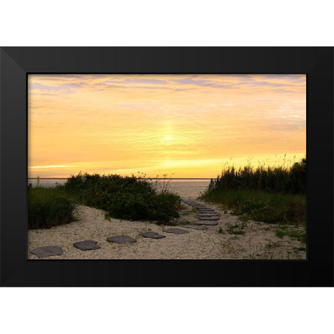 Sunset Path Black Modern Wood Framed Art Print by Carpentieri, Natalie