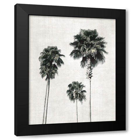 Sketchbook Palm Black Modern Wood Framed Art Print with Double Matting by Carpentieri, Natalie