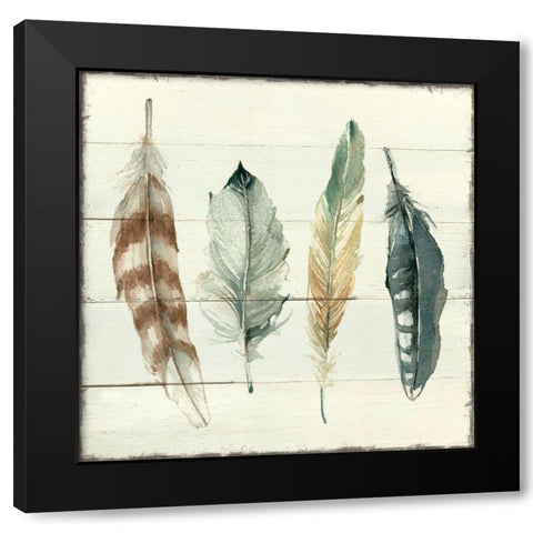 Shiplap Feathers I Black Modern Wood Framed Art Print with Double Matting by Robinson, Carol