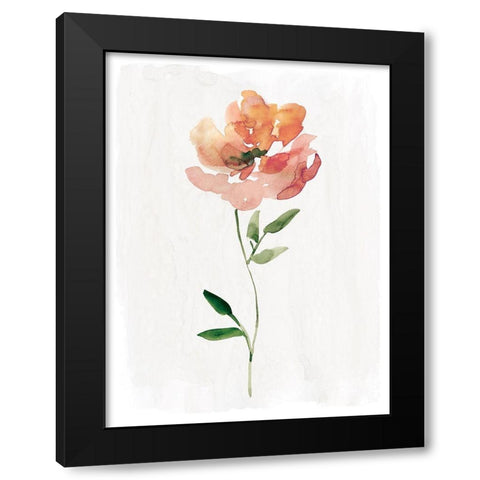 Happy Bloom I Black Modern Wood Framed Art Print by Robinson, Carol