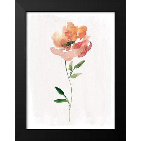 Happy Bloom I Black Modern Wood Framed Art Print by Robinson, Carol