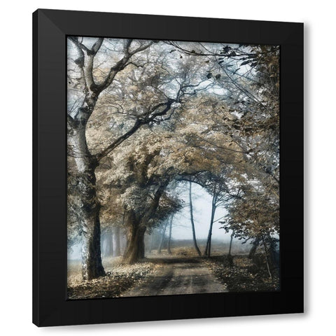 Road to Tomorrow Black Modern Wood Framed Art Print with Double Matting by Van de Goor, Lars
