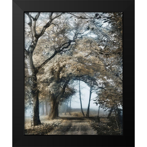 Road to Tomorrow Black Modern Wood Framed Art Print by Van de Goor, Lars