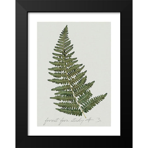 Fern Studies I Black Modern Wood Framed Art Print by Robinson, Carol
