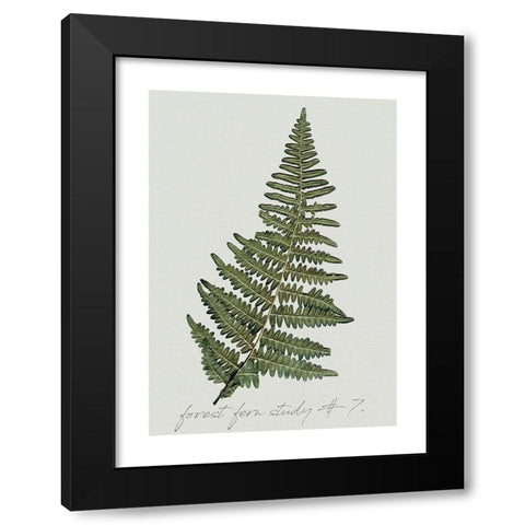 Fern Studies II Black Modern Wood Framed Art Print with Double Matting by Robinson, Carol