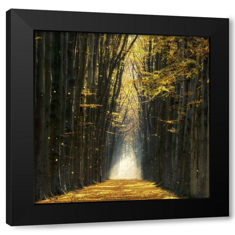 Fall Kicks In Black Modern Wood Framed Art Print with Double Matting by Van de Goor, Lars