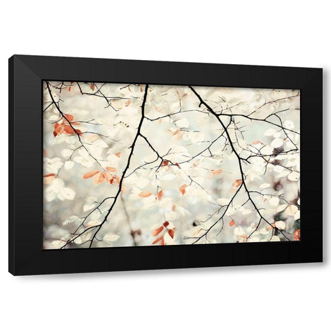 Simplicity Black Modern Wood Framed Art Print by Van de Goor, Lars