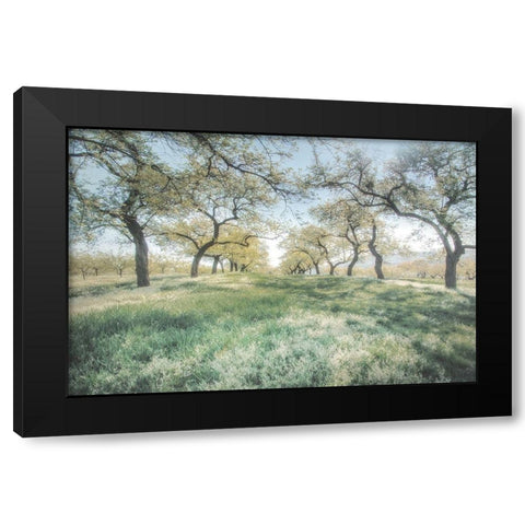 Charming Spring Mood Black Modern Wood Framed Art Print by Weisz, Irene