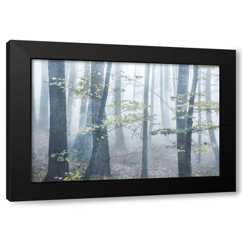 Chalky Misty Black Modern Wood Framed Art Print by Weisz, Irene
