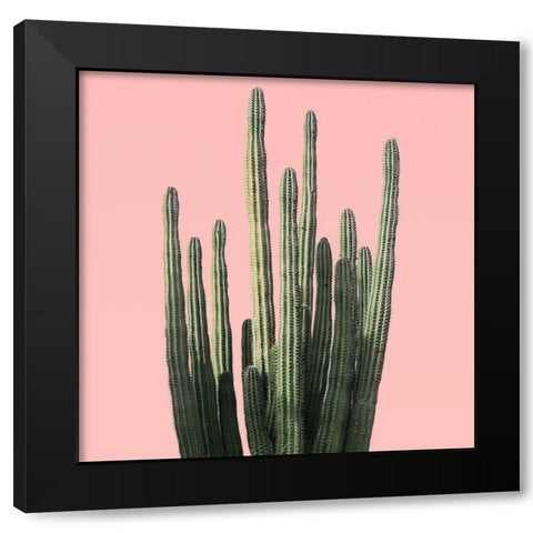 Island Succulent Black Modern Wood Framed Art Print by Carpentieri, Natalie