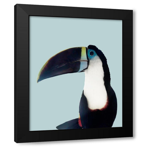 Aruba Wildlife Black Modern Wood Framed Art Print with Double Matting by Carpentieri, Natalie