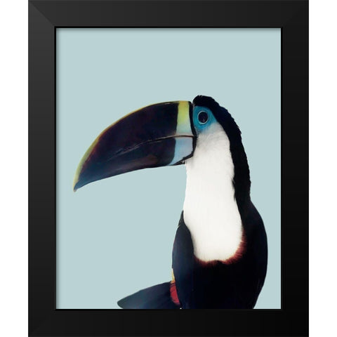 Aruba Wildlife Black Modern Wood Framed Art Print by Carpentieri, Natalie