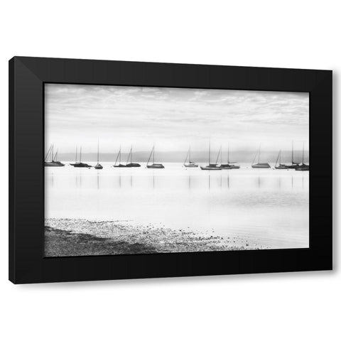 Ammerlake Morning Black Modern Wood Framed Art Print by Weisz, Irene