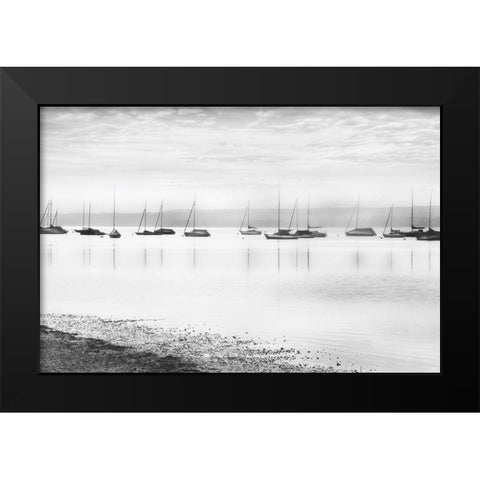 Ammerlake Morning Black Modern Wood Framed Art Print by Weisz, Irene