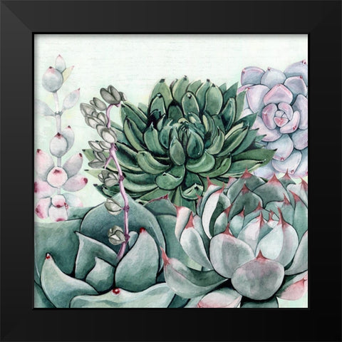 Succulent Garden II Black Modern Wood Framed Art Print by Jill, Susan