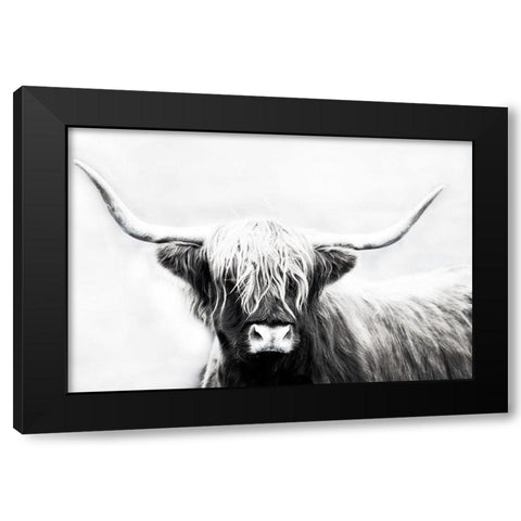 Highland Longhorn Black Modern Wood Framed Art Print with Double Matting by Edmonds, Cora
