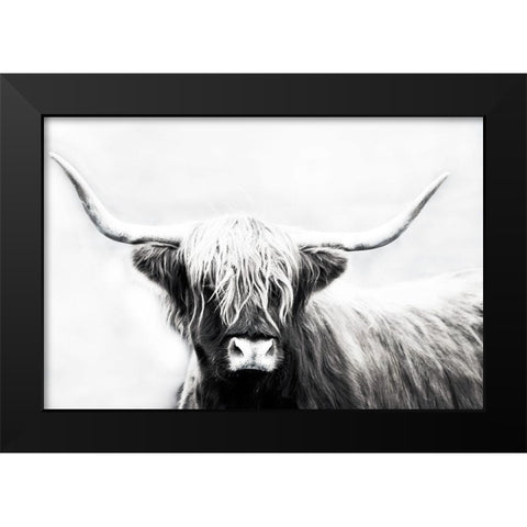 Highland Longhorn Black Modern Wood Framed Art Print by Edmonds, Cora