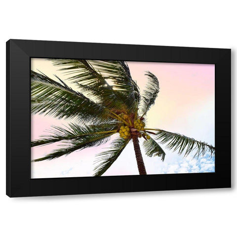 Palm Breeze Black Modern Wood Framed Art Print with Double Matting by Carpentieri, Natalie