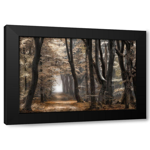 Forest Dimension Black Modern Wood Framed Art Print by Van de Goor, Lars