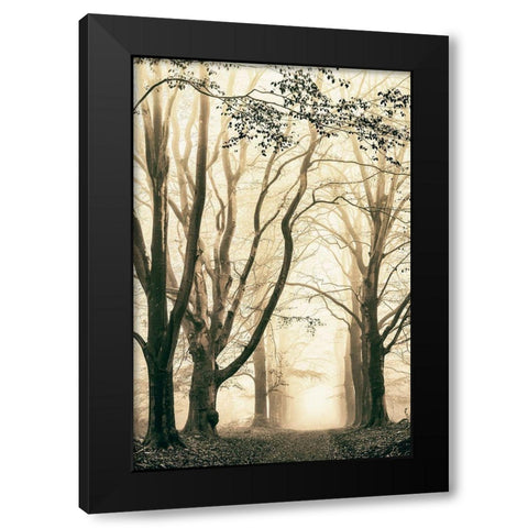 Silence Black Modern Wood Framed Art Print by Van de Goor, Lars