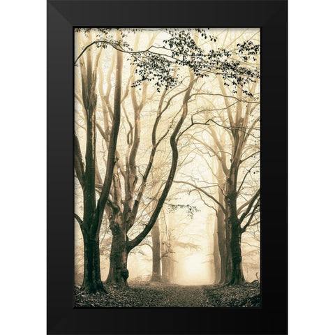 Silence Black Modern Wood Framed Art Print by Van de Goor, Lars