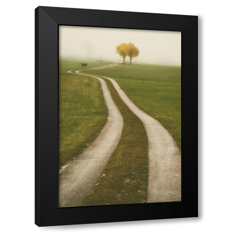 Winding Path Black Modern Wood Framed Art Print with Double Matting by Van de Goor, Lars